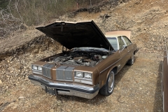 65